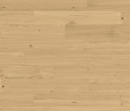 ivory rustic 2025