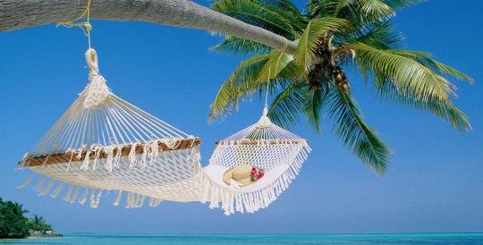 summer 2025